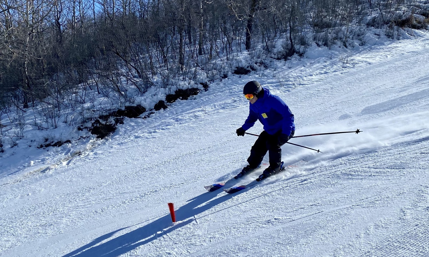 An action shot photo of an alpine skier going down the hill. The skier is a medium distance away from the camera and you can see the snow blowing behind their skis. In the distance behind the skier, you can see trees alongside the hill.